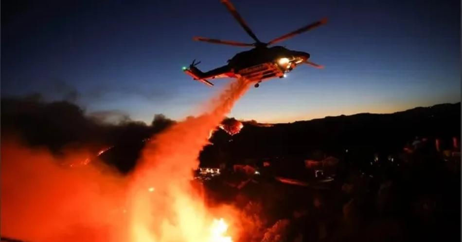 Fuego y desesperacioacuten en Los Aacutengeles- rescatan a maacutes de 400 animales tras los incendios