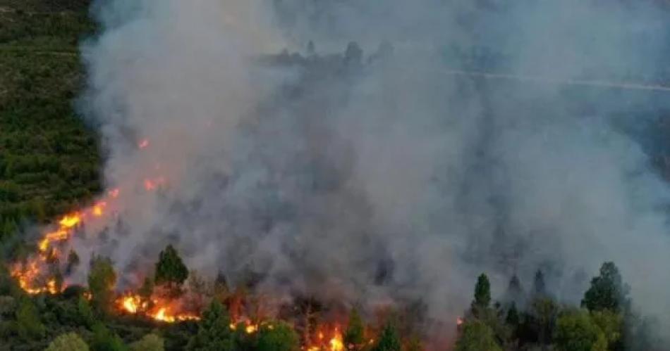 Gran preocupacioacuten en Bariloche- el incendio en el Parque Nacional Nahuel Huapi arrasoacute maacutes de 3500 hectaacutereas