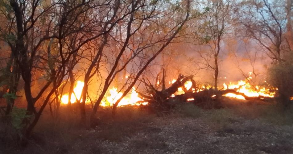 FOTOS Tras un arduo trabajo logran extinguir por completo el incendio en Rubia Paso