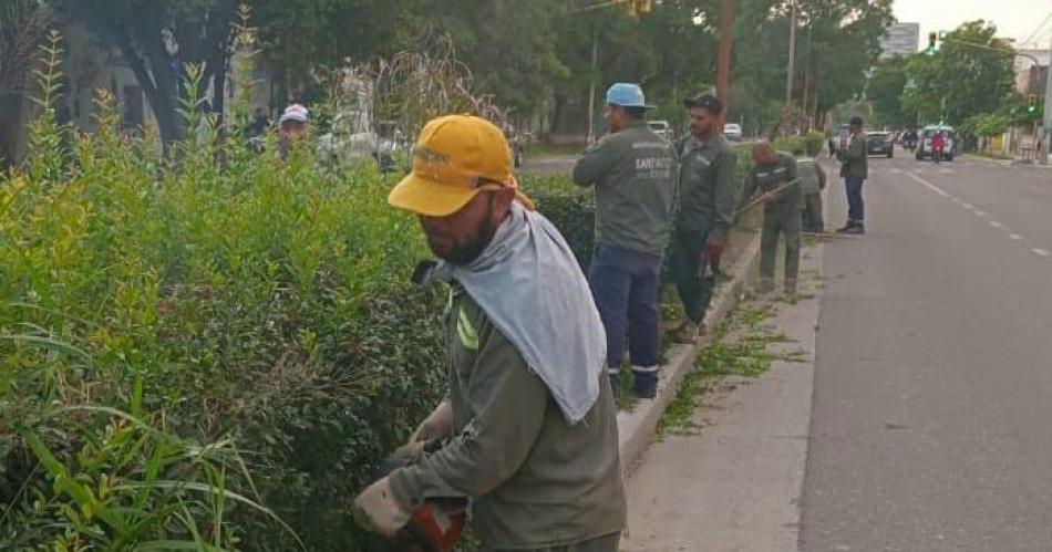 Realizan poda y mantenimiento de la  platabanda de Av Belgrano