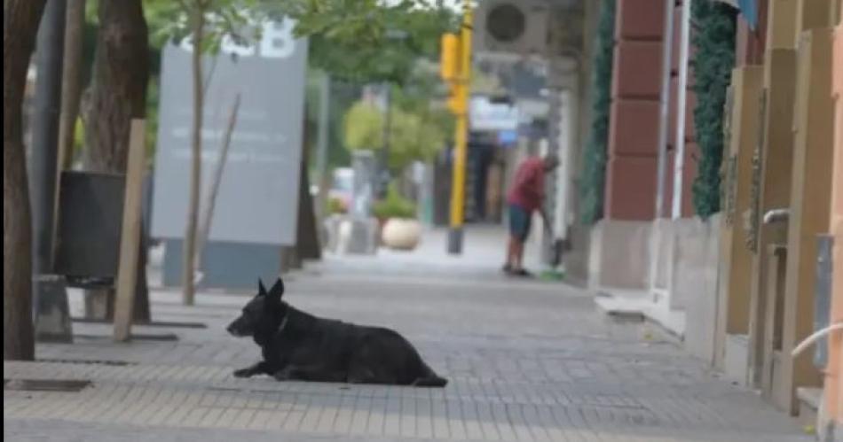 Anuncian un saacutebado con mucha humedad 35deg y posibles lluvias