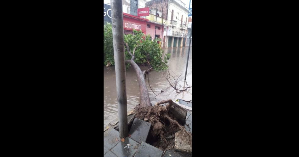 La abundante cantidad de agua caiacuteda generoacute inconvenientes en varios sectores de la ciudad